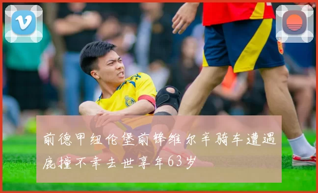 前德甲纽伦堡前锋维尔辛骑车遭遇鹿撞不幸去世享年63岁
