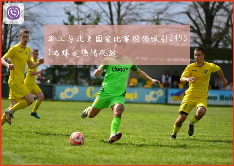 浙江与北京国安比赛现场吸引24951名球迷热情观战