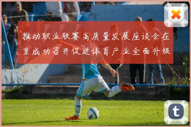 推动职业联赛高质量发展座谈会在京成功召开促进体育产业全面升级与创新发展