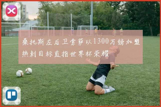 桑托斯左后卫索萨以1300万镑加盟热刺目标直指世界杯荣耀
