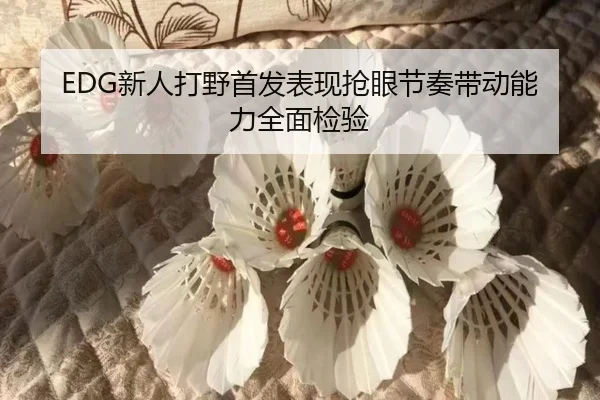 EDG新人打野首发表现抢眼节奏带动能力全面检验